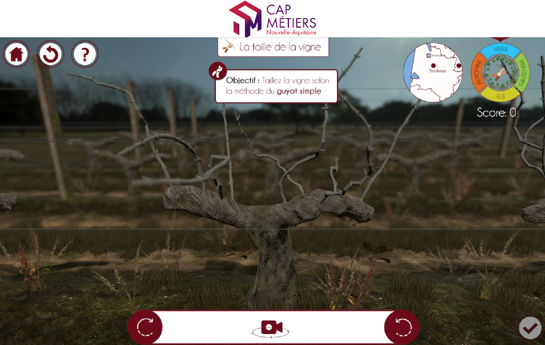Les métiers de la vigne et du vin